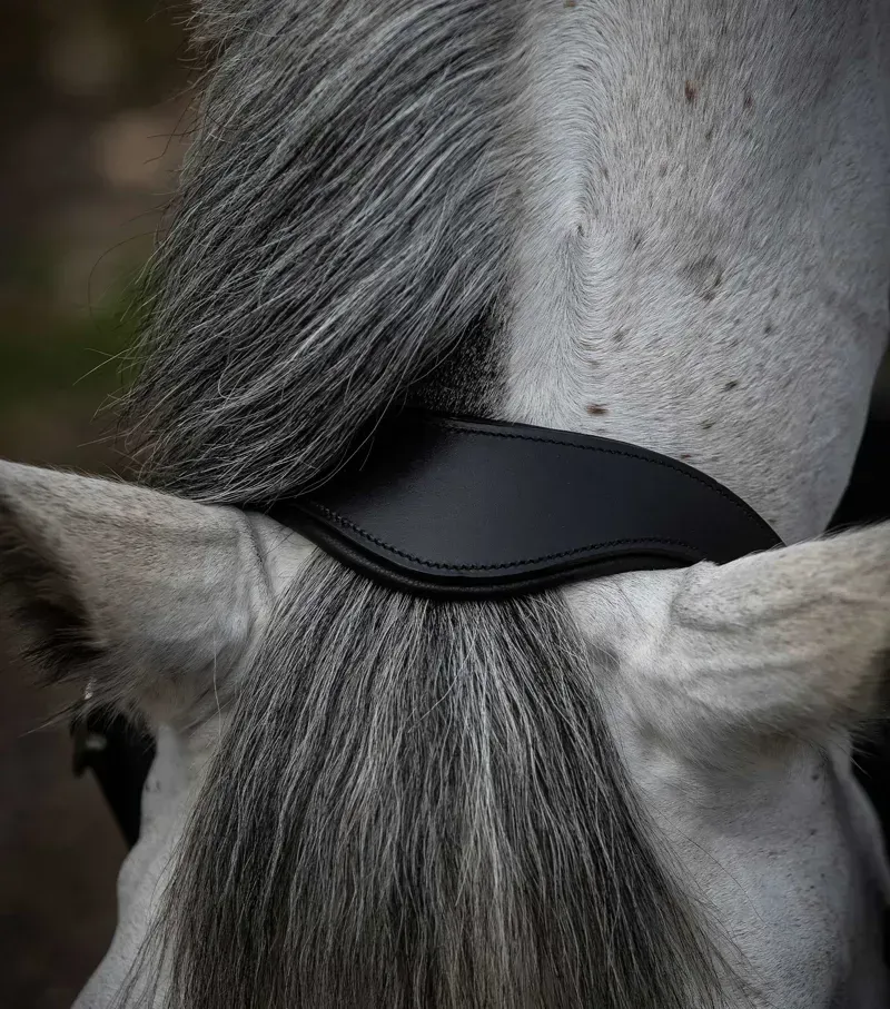 Premier Equine Hennaroso Rolled Anatomic Leather Head Collar in Black-1