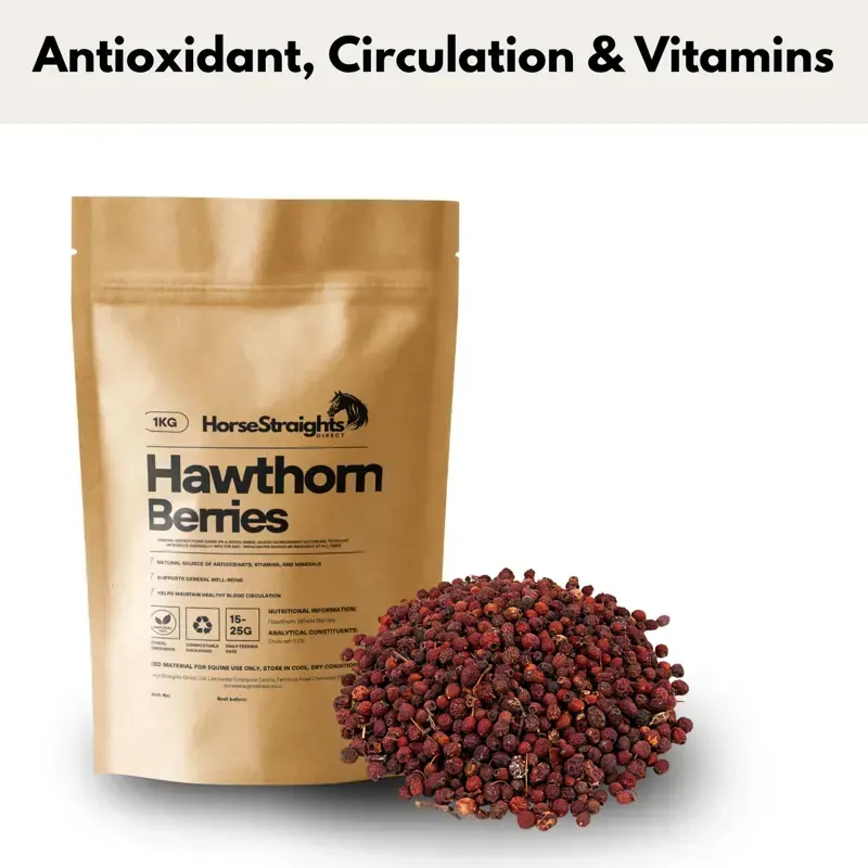 Horse Straights Direct 1 kg Hawthorn Whole Berries in Yellow