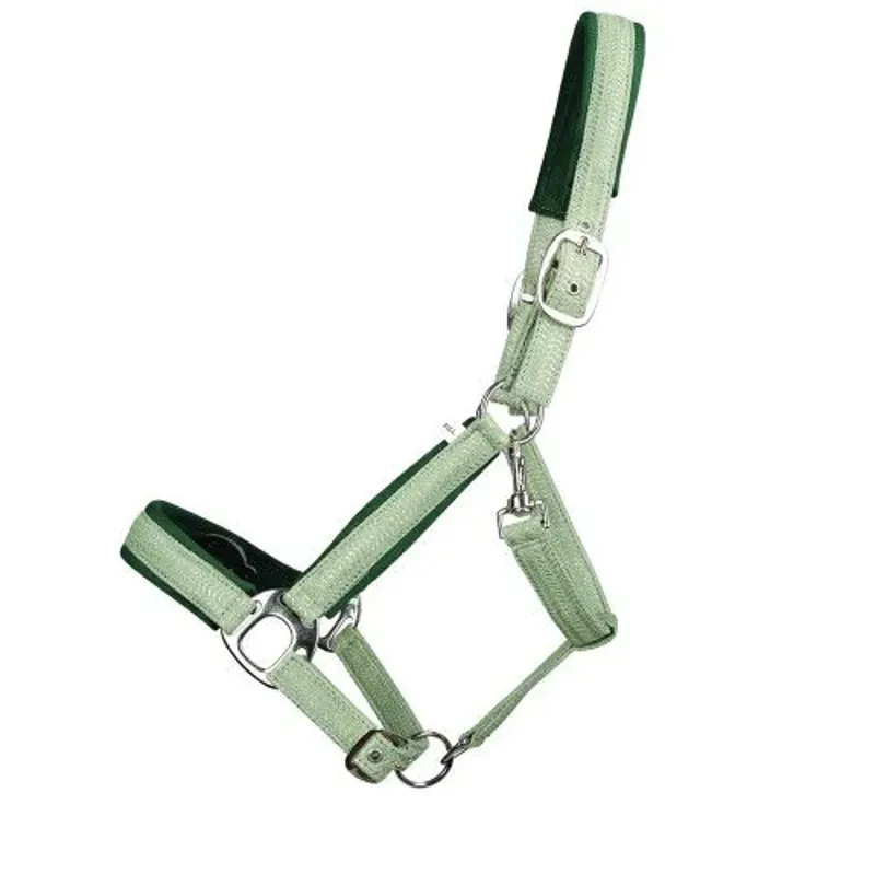 Hy Equestrian Mermaid Shimmer Head Collar and Lead Rope Set in Mint Green