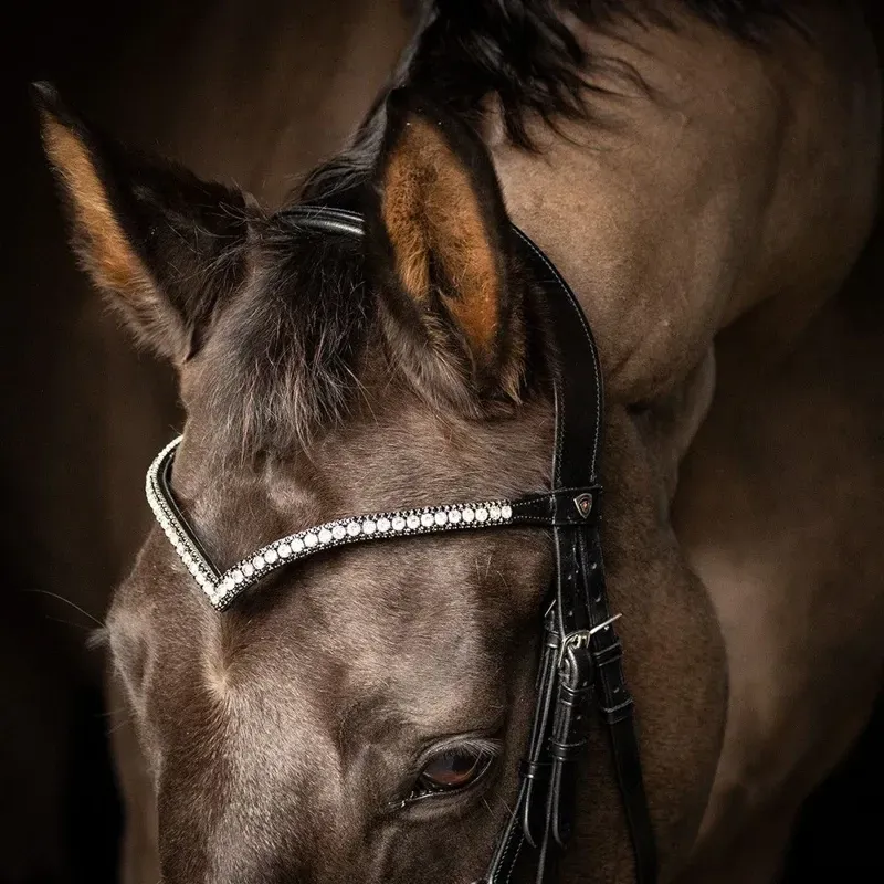 Hy Equestrian ProPresicce Signature V Diamante Browband with Silver Diamantes in Black-2