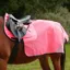 Hy Equestrian Reflector Summer Mesh Quarter Sheet in Pink