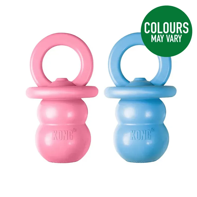 Kong Small Puppy Binkie in Blue/Pink