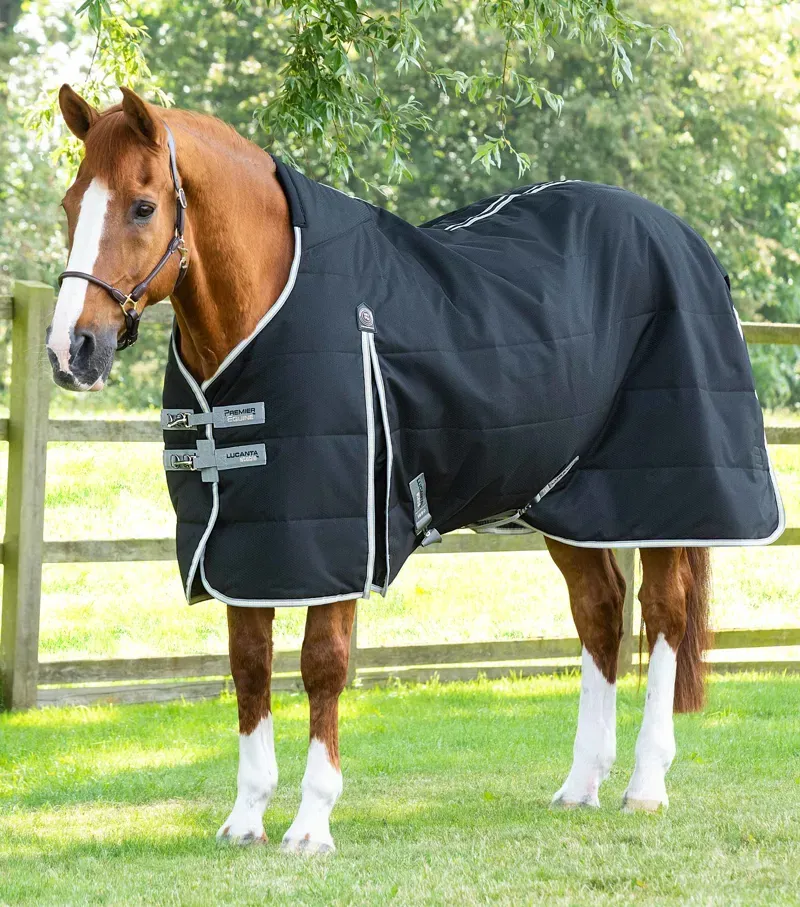 Premier Equine 100g Lucanta Demi Stable Rug in Black