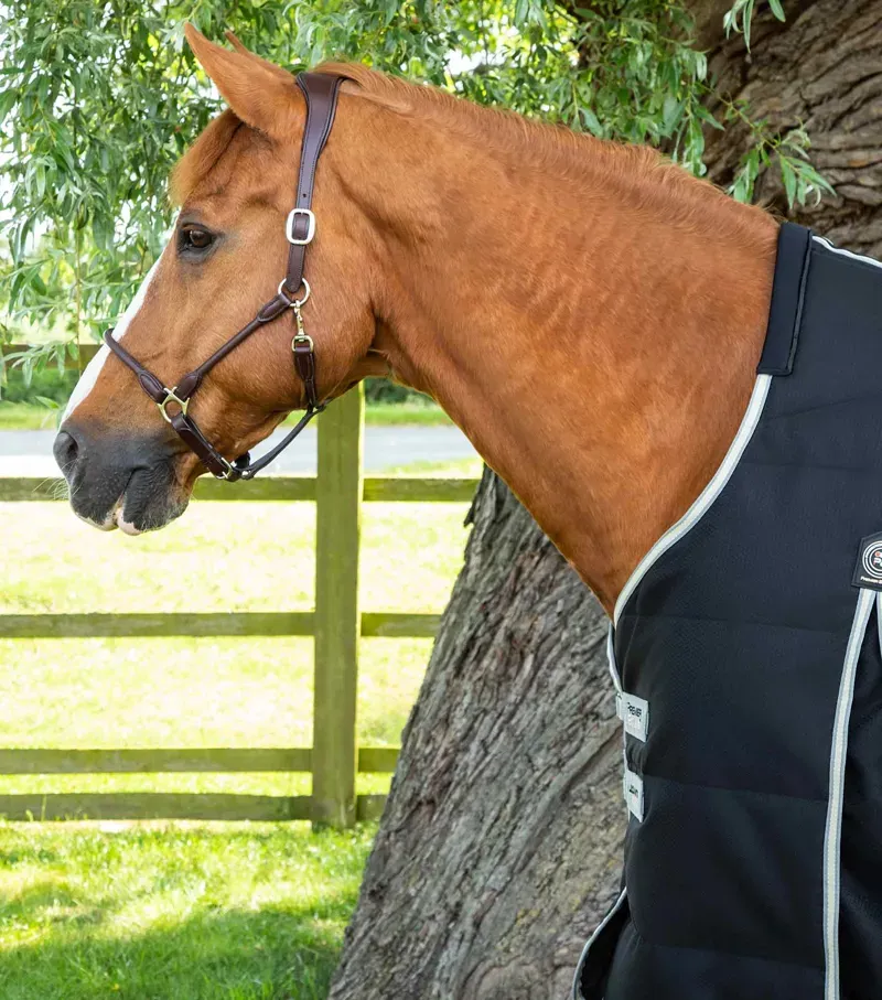 Premier Equine 100g Lucanta Demi Stable Rug in Black-1