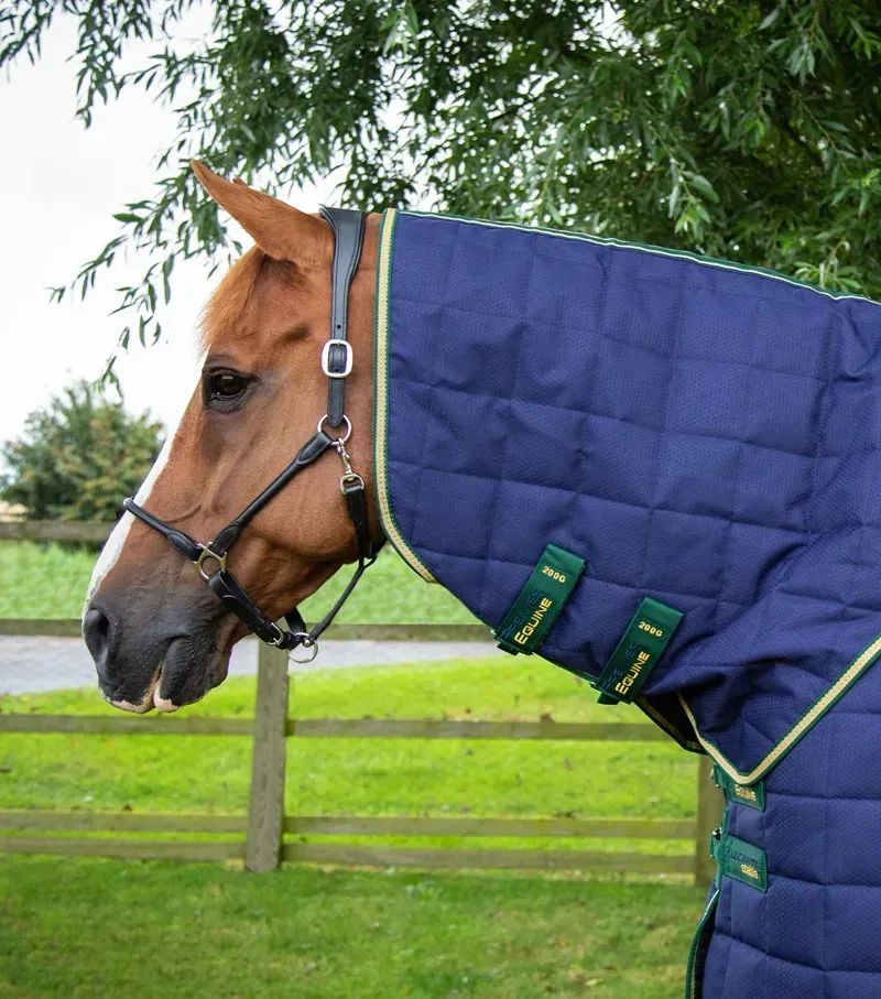 Premier Equine 450g Lucanta Stable Rug With Neck Cover in Navy-2