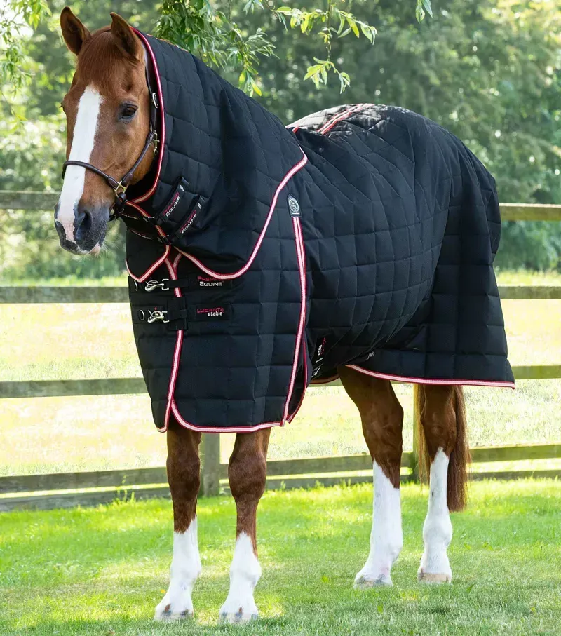 Premier Equine Lucanta 200g Stable Rug with Neck Cover in Black