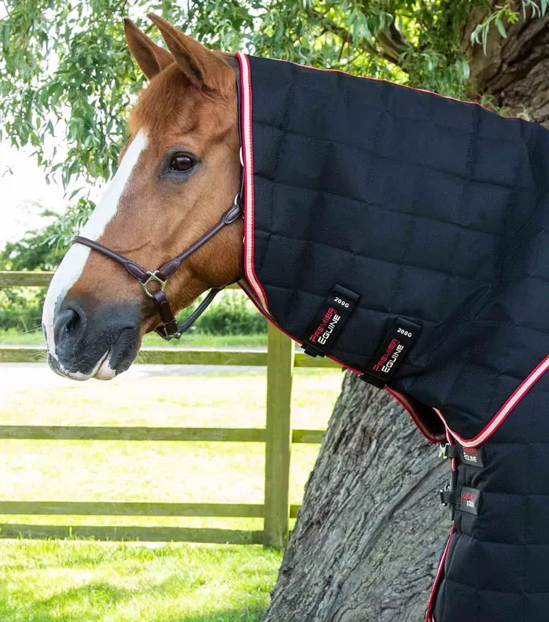 Premier Equine Lucanta 200g Stable Rug with Neck Cover in Black-3