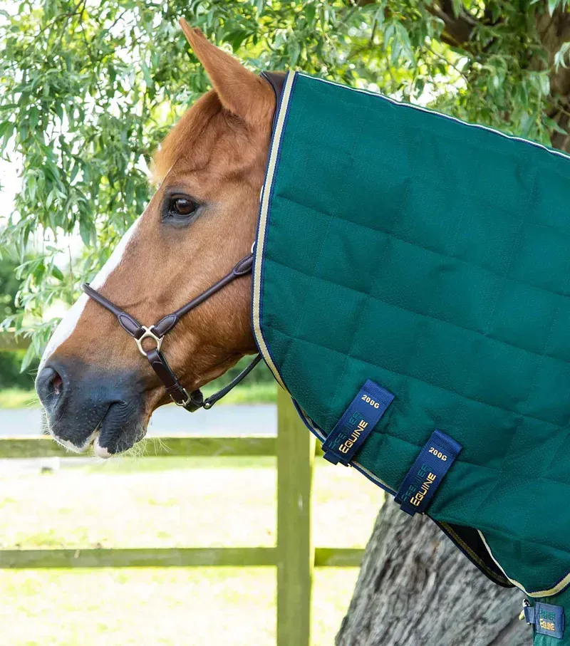 Premier Equine 200g Lucanta Stable Rug With Neck Cover in Green-1