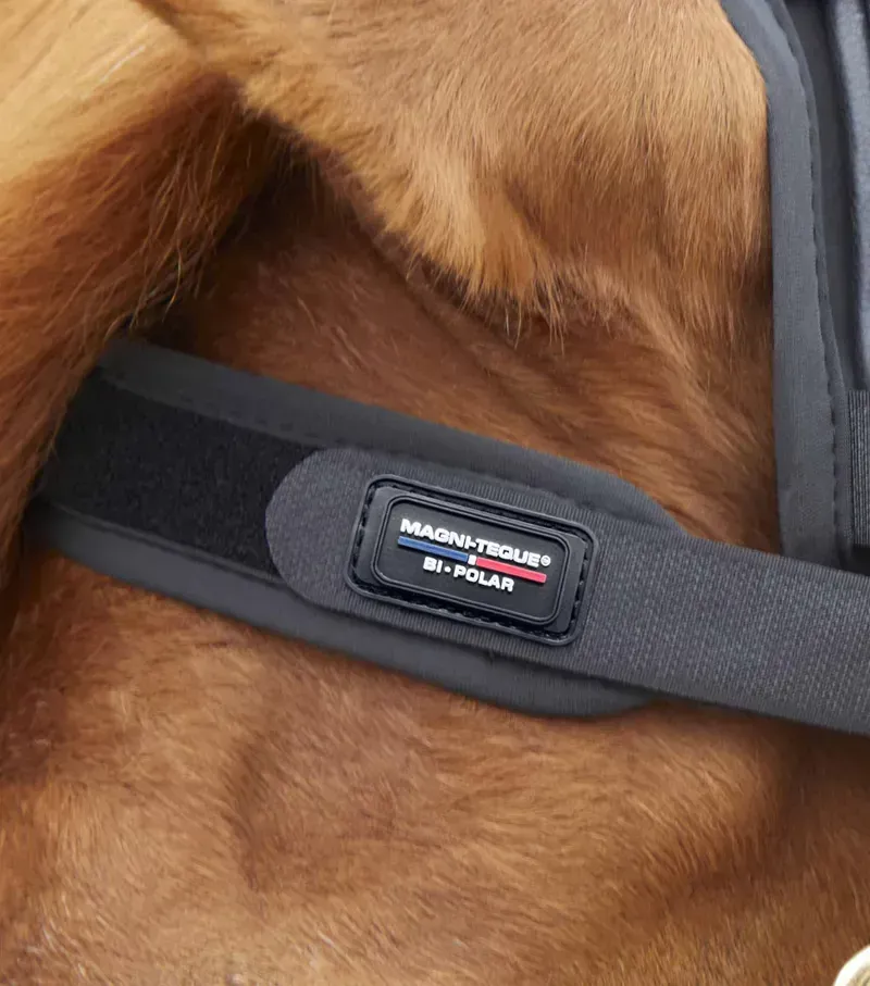Premier Equine Magni-Teque Magnetic Browband in Black-3