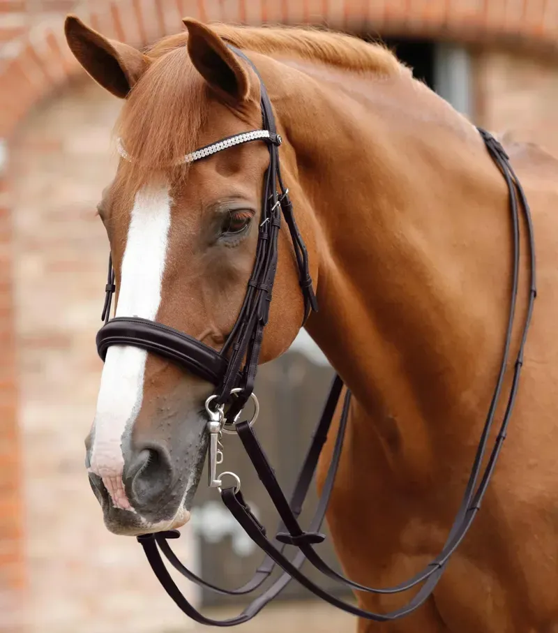 Premier Equine 3/4 Matteo Leather Grip Reins in Brown-1