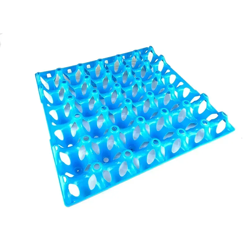 BEC 30 eggs Egg Tray in Blue