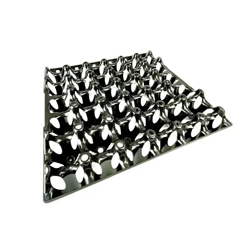 BEC 30 eggs Egg Tray in Black
