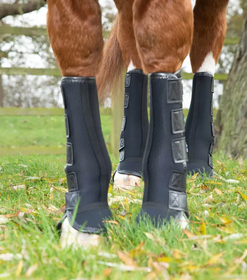 Turnout/ Mud Fever Boots / Black-4