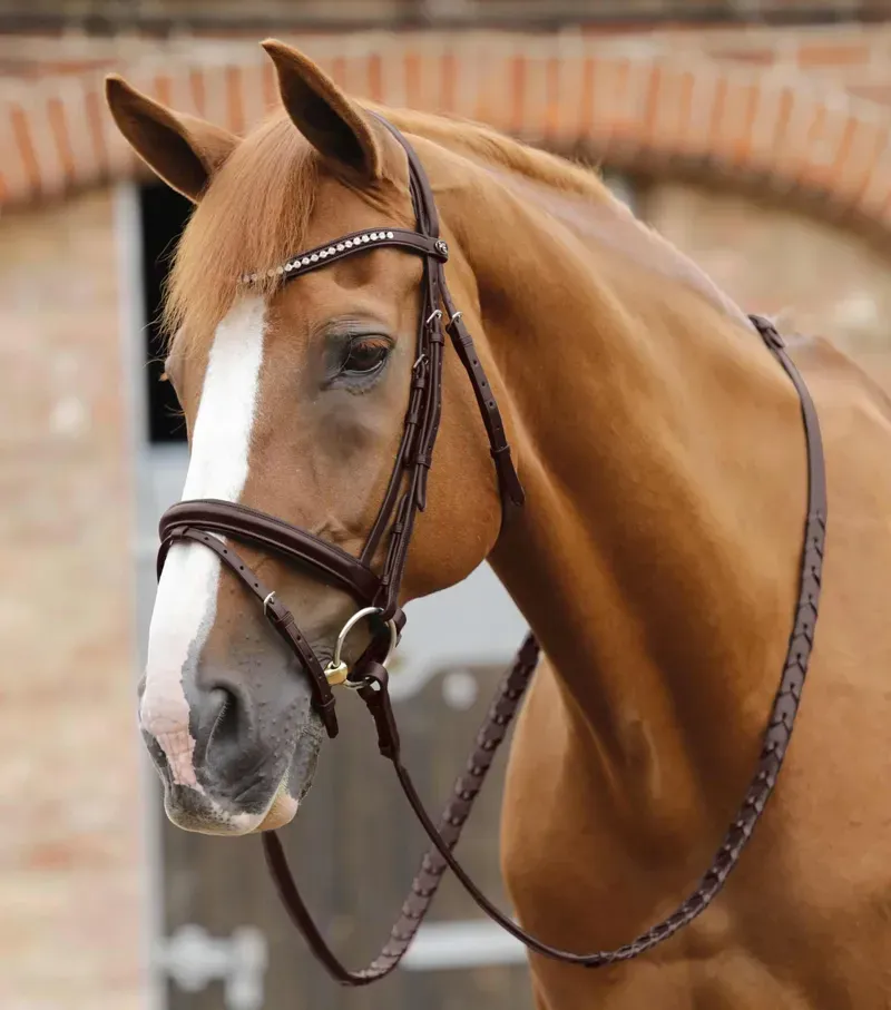Premier Equine Pietro Laced Reins in Brown-1