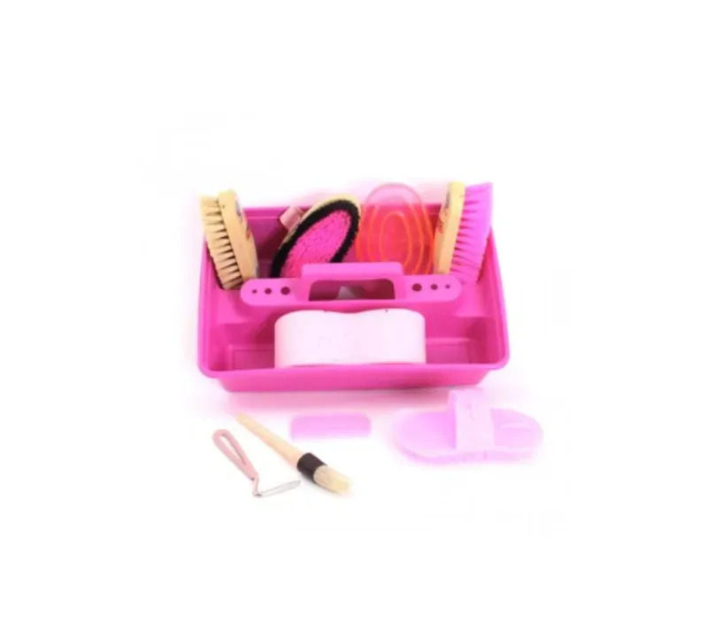 Lincoln Complete Grooming Kit in Pink