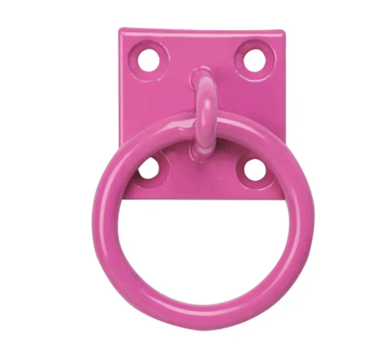 Perry Equestrian Chain Ring on Plate in Pink