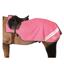 Hy Viz Reflector Exercise Sheet in Pink