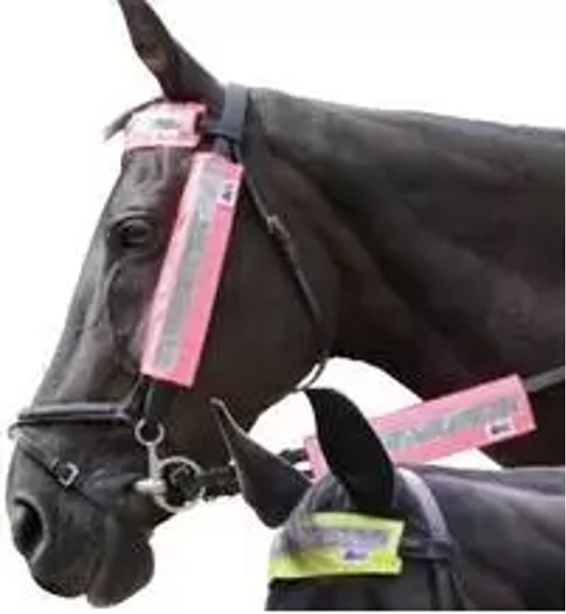 Hy Viz 3-piece Bridle Set in Pink