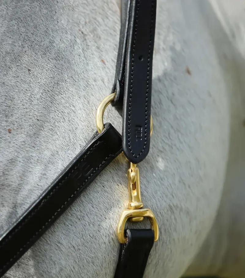 Premier Equine Pasco Plain Leather Head Collar in Black-1