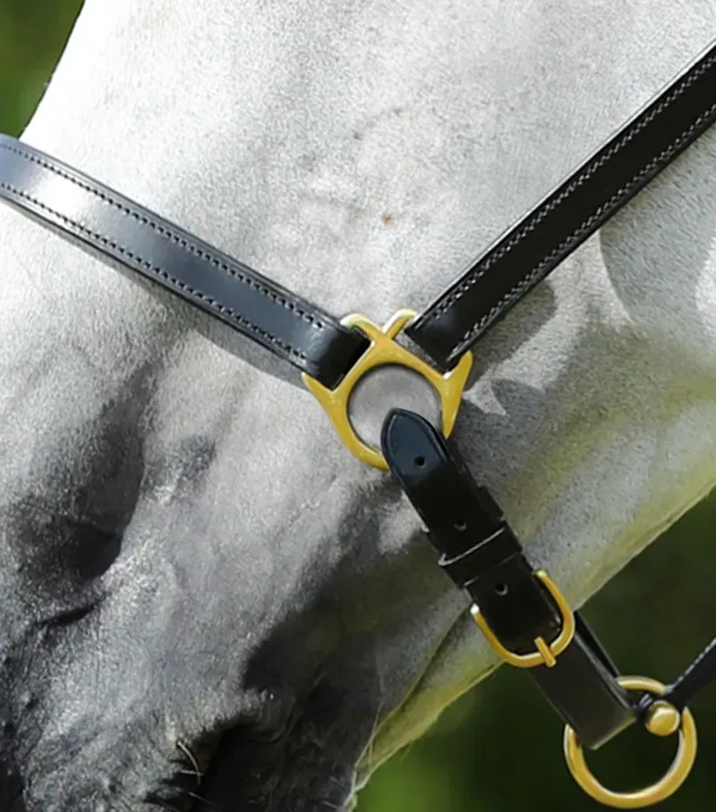 Premier Equine Pasco Plain Leather Head Collar in Black-2