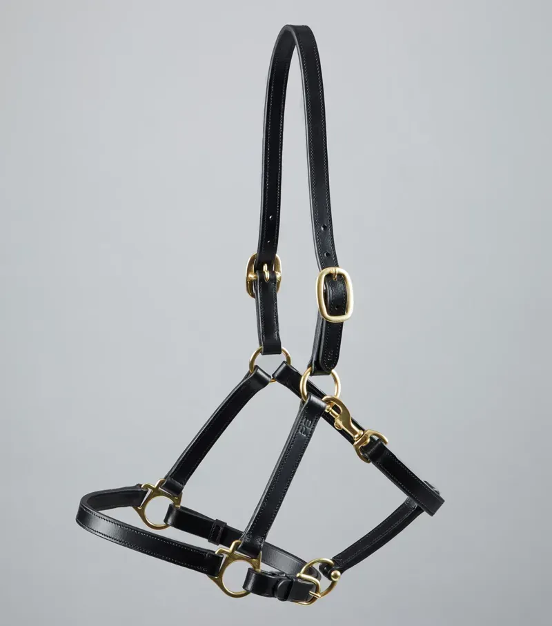 Premier Equine Pasco Plain Leather Head Collar in Black-3