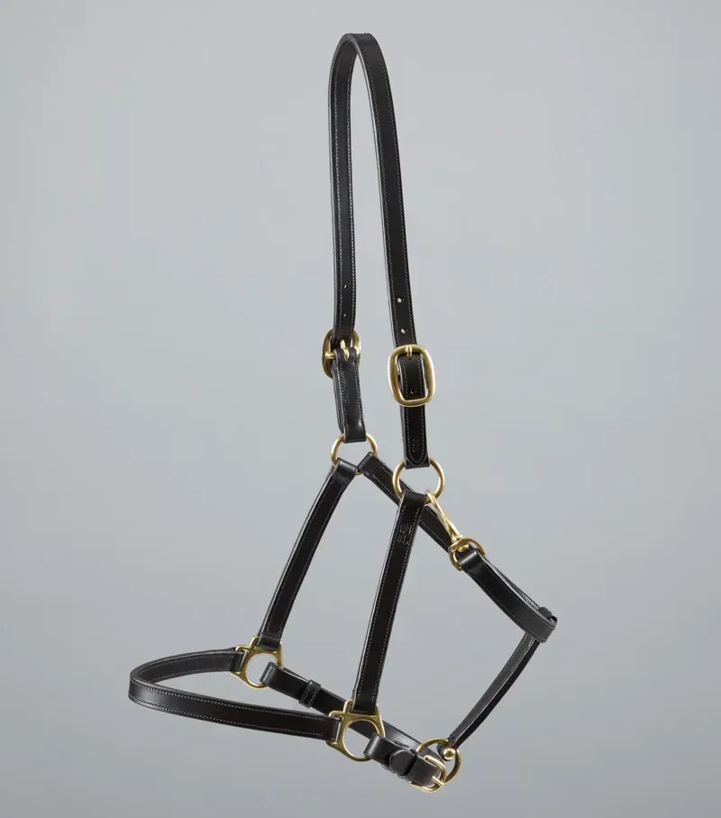 Premier Equine Pasco Plain Leather Head Collar in Brown-3