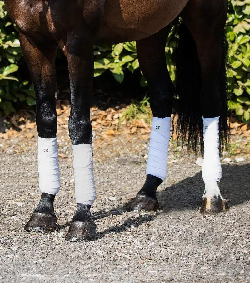 Premier Equine One Size Horse Polo Fleece Bandages in White-1