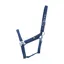 Hy Equestrian Economy Plus Head Collar - - Petrol