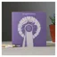 Deckled Edge Colour Block Pony Card - Congratulations