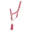 Hy Rose Gold Head Collar And Lead Rope in Blush Pink/Rose Gold