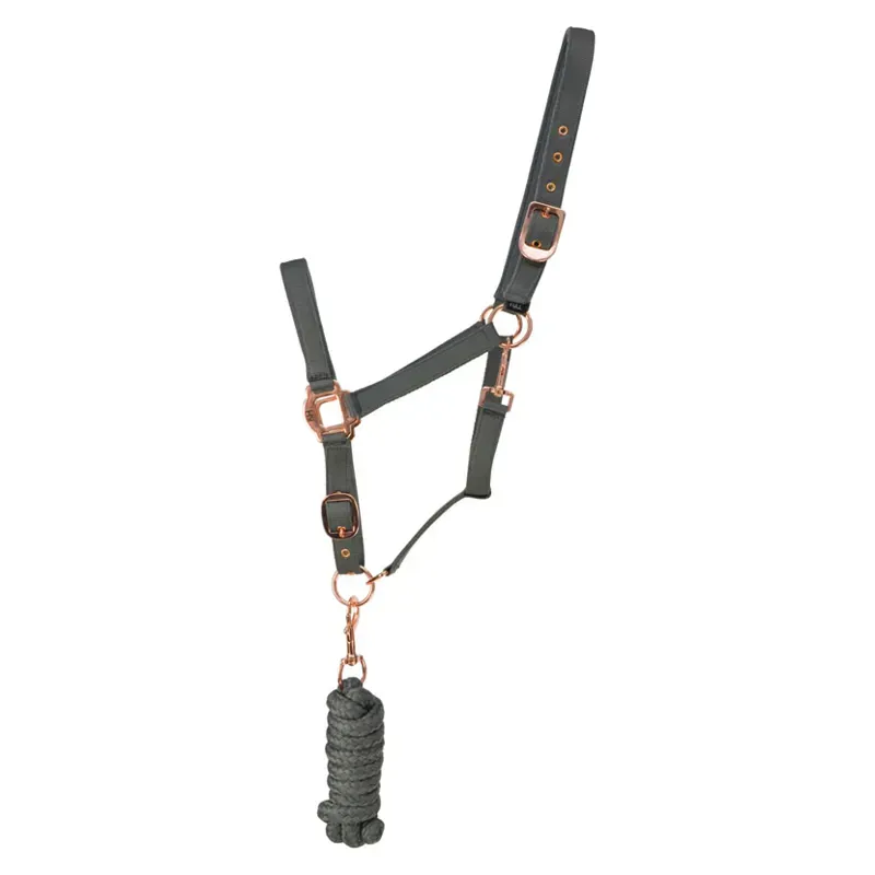 Hy Rose Gold Head Collar And Lead Rope in Grey/Rose Gold