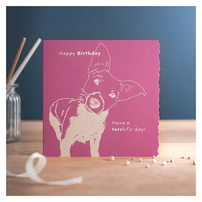 Deckled Edge Colour Block - Happy Birthday - Terri-fic Day