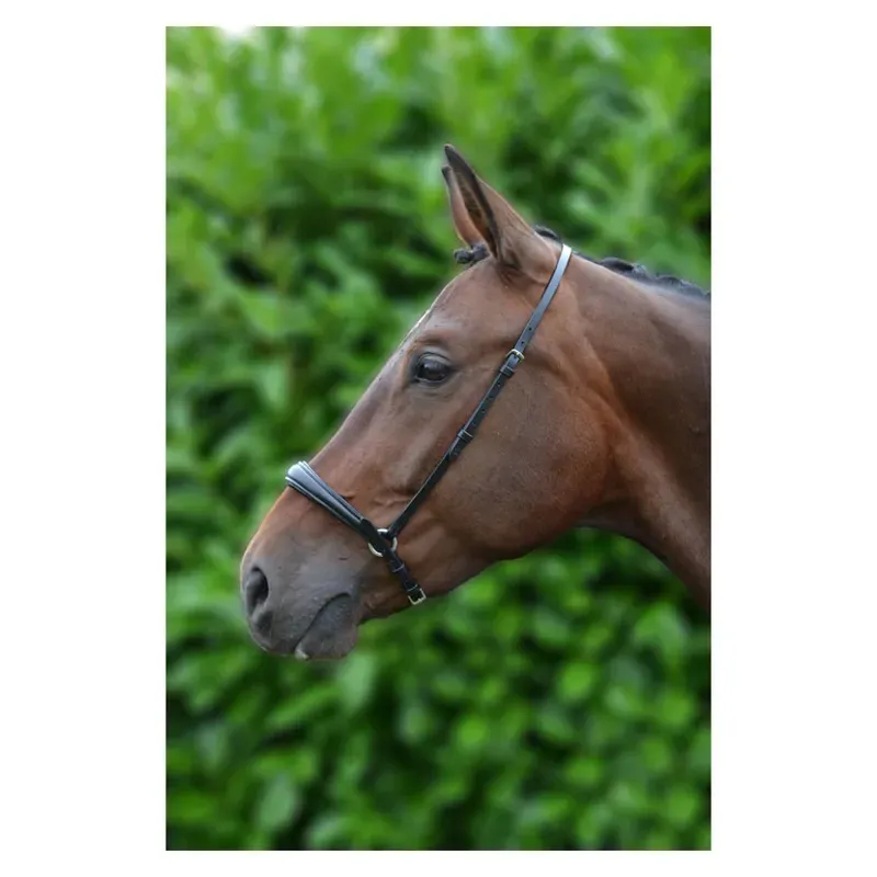 Hy Padded Drop Nose Band in Black