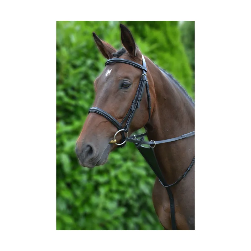 Hy Equestrian Bib Martingale - - Black