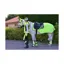 Hy Equestrian Reflector Mesh Exercise Sheet in Yellow