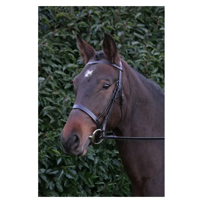 Hy Hunter Bridle With Rubber Grip Reins in Black