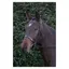 Hy Hunter Bridle With Rubber Grip Reins in Black