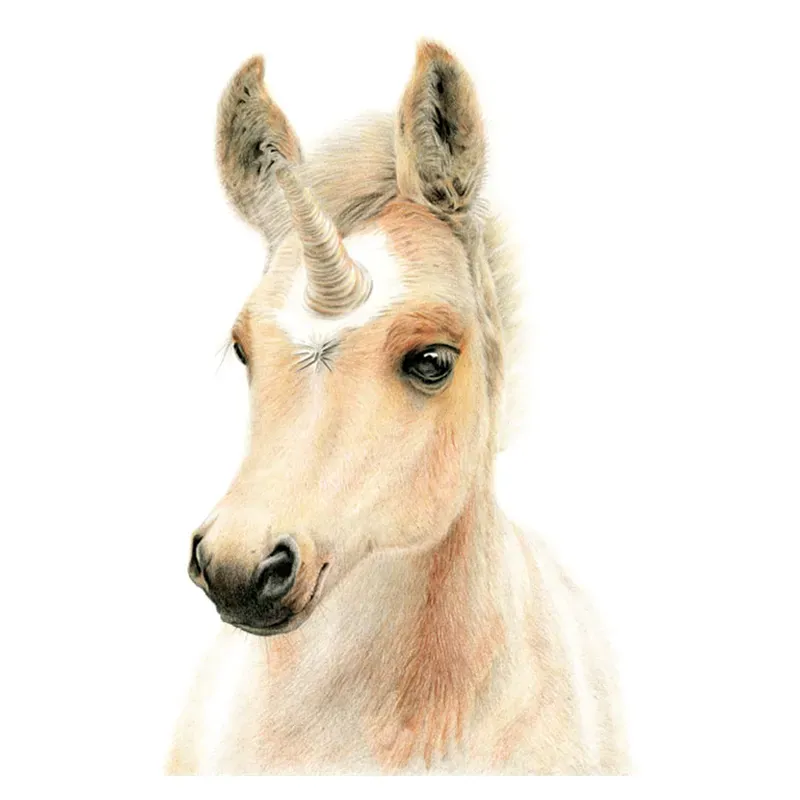 Deckled Edge Eureka Card - Uni- Foal Uni-Foal