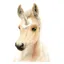 Deckled Edge Eureka Card - Uni- Foal Uni-Foal