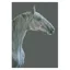 Deckled Edge Eureka Card - The Grey