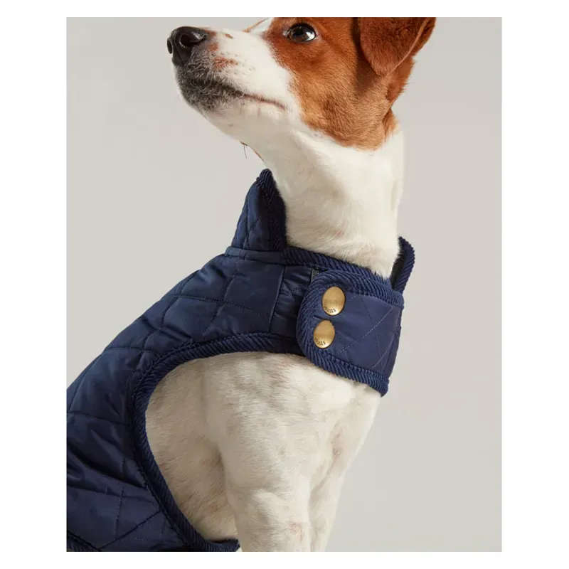 Joules Quilted Dog Coat in Blue-2