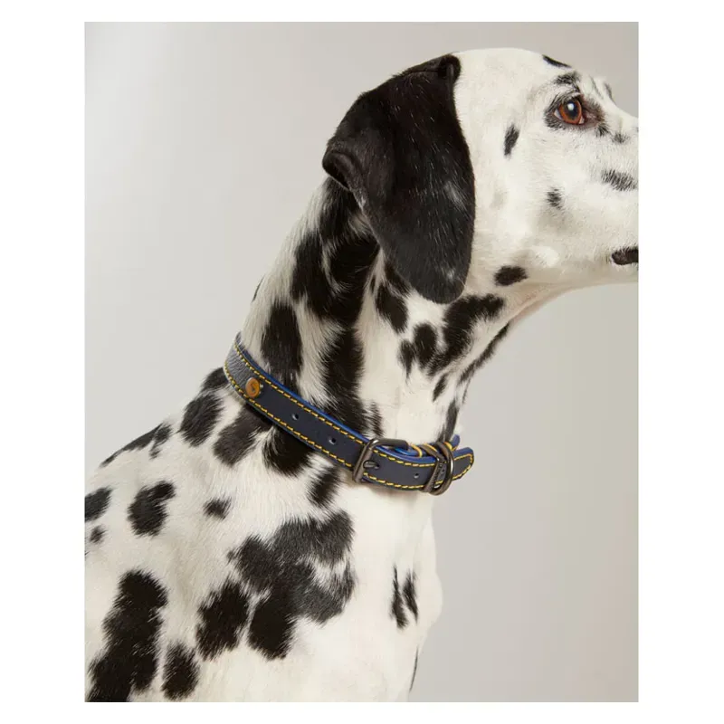 Joules Leather Dog Collar in Navy