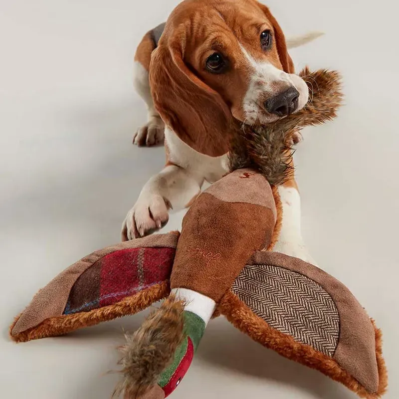 Joules One Size Pheasant Dog Toy in Brown