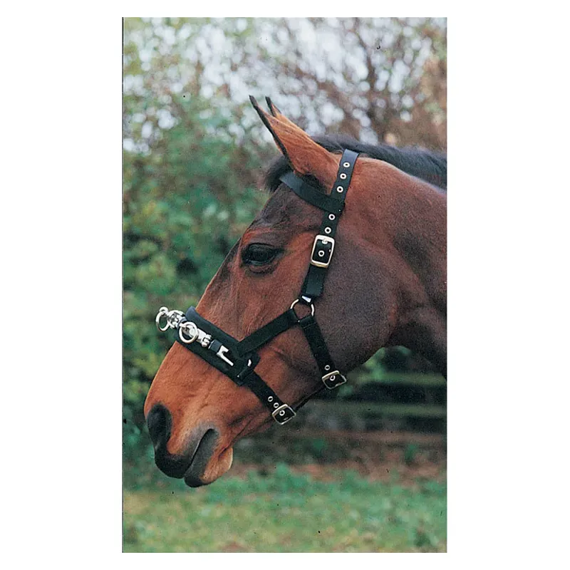 Hy Lunge Cavesson in Black
