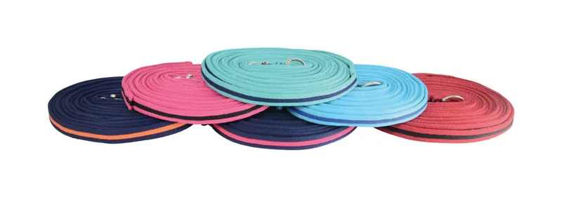Hy Soft Webbing Lunge Rein - - Teal/Navy 25'
