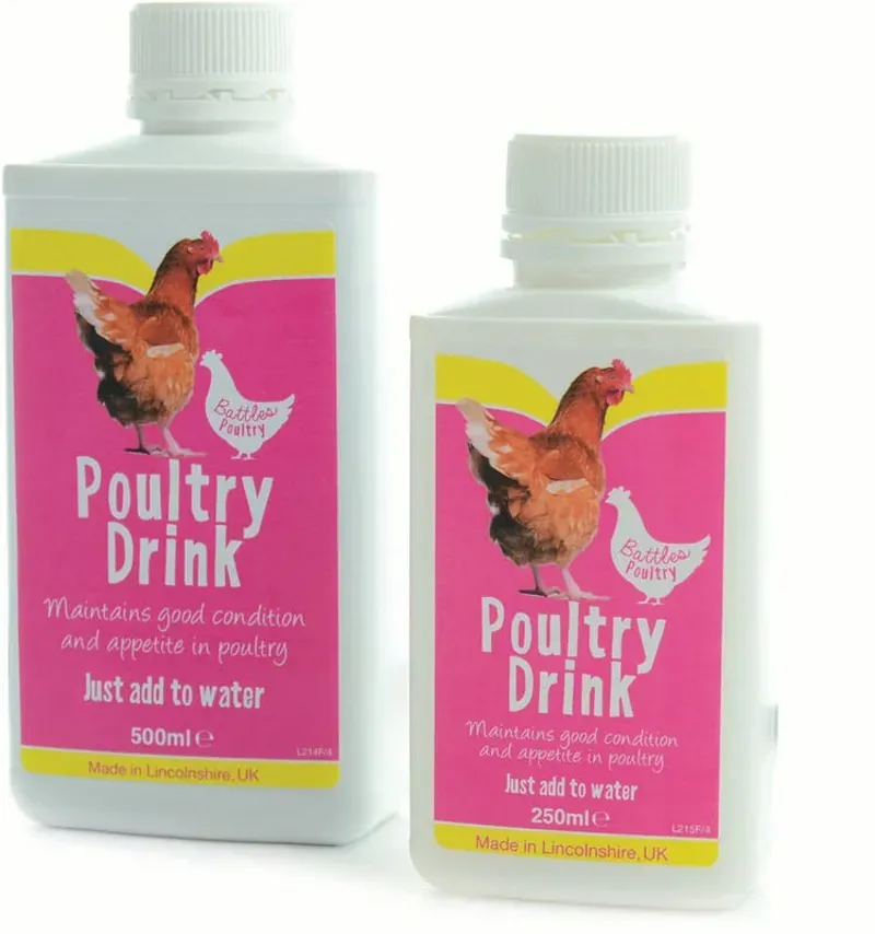 Battles Poultry Drink in Pink