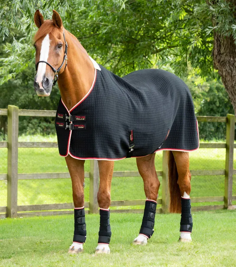 Premier Equine PremTex Horse Cooler Rug in Black