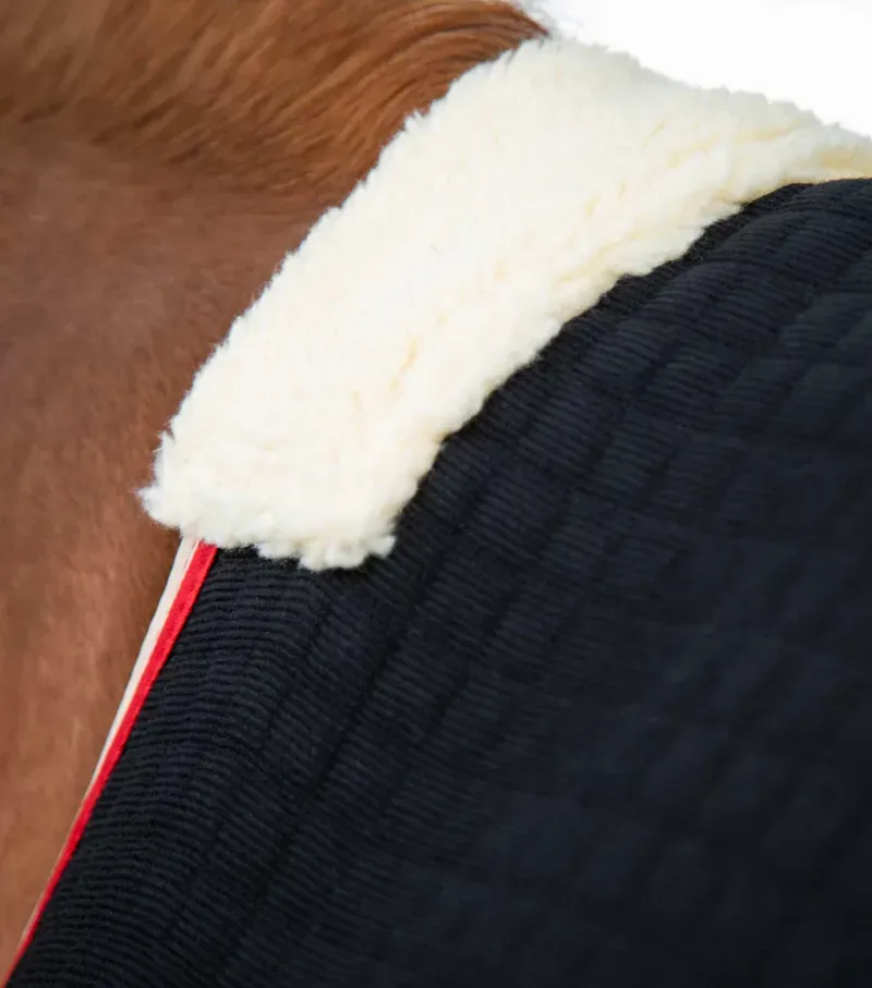 Premier Equine PremTex Horse Cooler Rug in Black-4