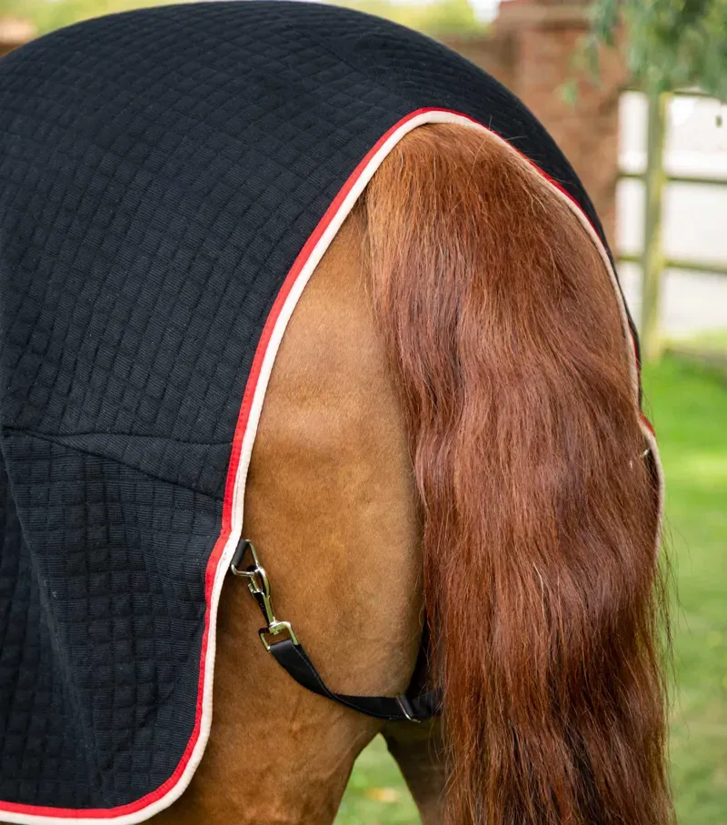 Premier Equine PremTex Horse Cooler Rug in Black-3