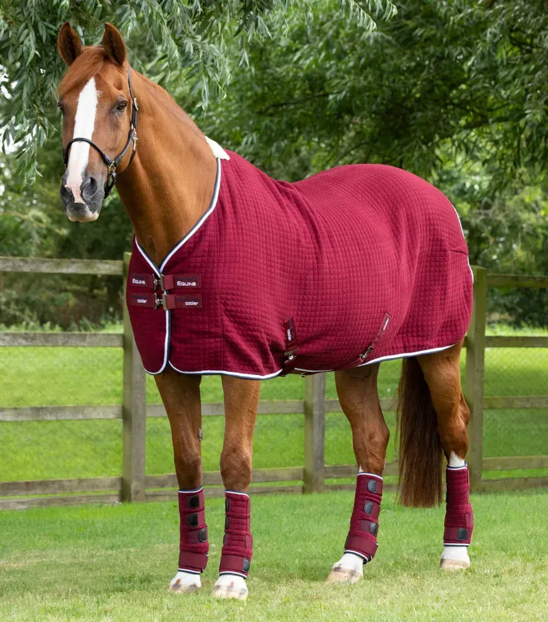 Premier Equine PremTex Horse Cooler Rug in Burgundy